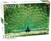 Puzzle Piękny Paw Peacock 500 - Tactic