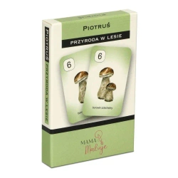Karty Piotruś - Przyroda w lesie - Mama Maluje