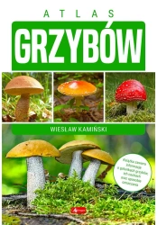 Atlas grzybów - praca zbiorowa