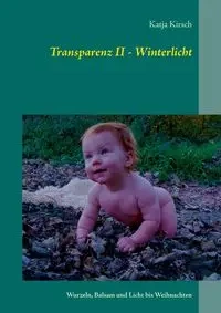 Transparenz II - Winterlicht - Kirsch Katja