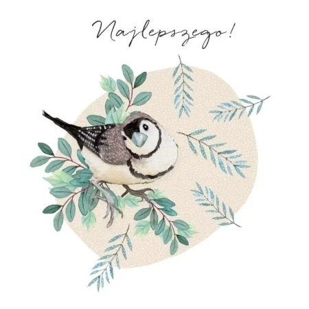 Karnet Swarovski kwadrat CL4503_PO Najlepszego! - Clear Creations