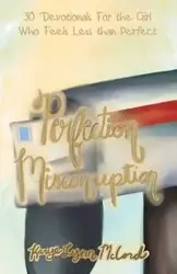 Perfection Misconception - Lynn McCord Karye