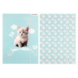Teczka z gumką A4 Kitty - STARPAK