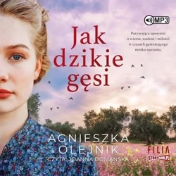 Jak dzikie gęsi audiobook - Agnieszka Olejnik