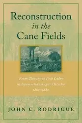 Reconstruction in the Cane Fields - John Rodrigue C