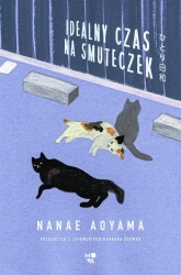 Idealny czas na smuteczek - Nanae Aoyama, Barbara Słomka, Anna Płaskoń-Sokoło