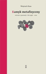 Kamyk metafizyczny - Wojciech Kass