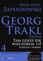 eBook Tam gdzie idę wieczorem - Paweł Bitka Zapendowski