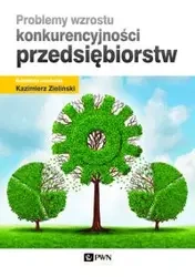 Problemy wzrostu konkurencyjności przedsiębiorstw - Zieliński Kazimierz