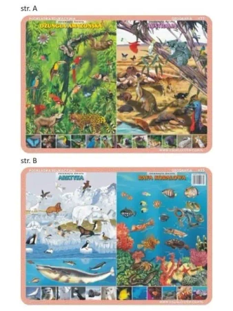 Podkładka edu. 033 - Zwierzęta Amazonii.. - Visual System