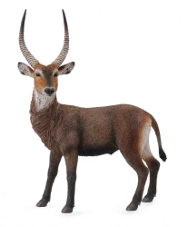 Antylopa Waterbuck - Collecta