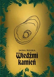 eBook Wiedźmi kamień - Jagna Rolska mobi epub