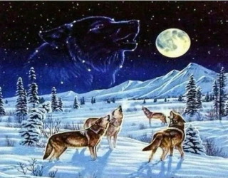 Diamentowa mozaika wilki gwiazdozbior NO-1005266 - Norimpex