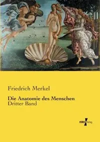 Die Anatomie des Menschen - Merkel Friedrich