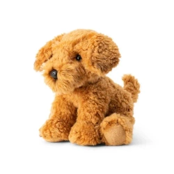 Pies Cockapoo - One for Fun