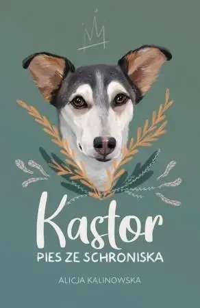 Kastor. Pies ze schroniska - Alicja Kalinowska