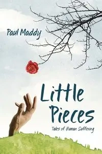 Little Pieces - Paul Maddy