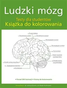 Ludzki mózg Testy dla studentów do kolorowania - praca zbiorowa