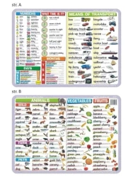 Podkładka edu. 039 - Numbers, time, calendar... - Visual System