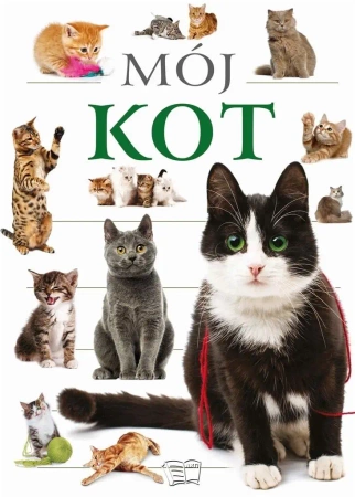 Mój kot - praca zbiorowa