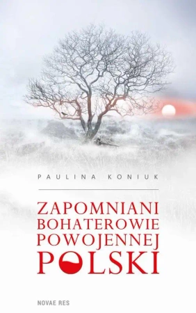 eBook Zapomniani bohaterowie powojennej Polski - Paulina Koniuk mobi epub