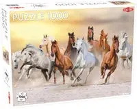 Puzzle Dzikie konie 1000 - Tactic