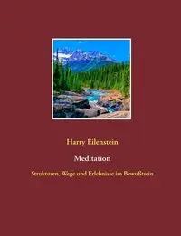 Meditation - Harry Eilenstein