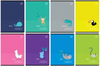 Zeszyt A5/16K linia kolor. B&B Kids Tropic (20szt) - INTERDRUK