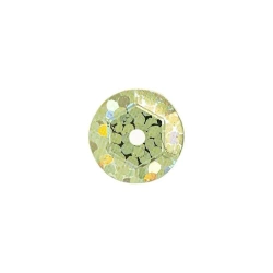 Cekiny hologramowe H 40 złoty - Brewis