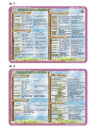 Podkładka edu. 009 - Ortografia: ch, h, rz, ż, ó.. - Visual System