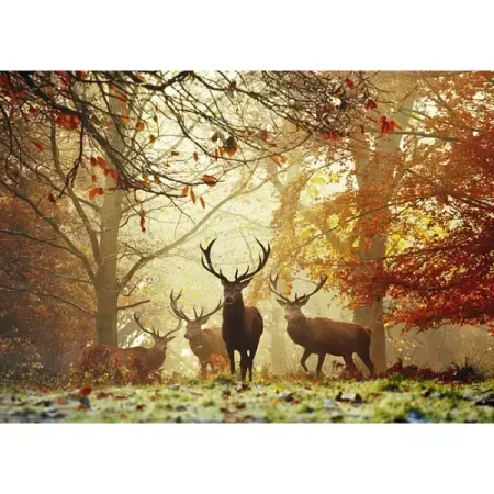 Puzzle 1000 elementów. Magiczny las. Jelenie