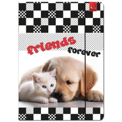 Paczka Teczka A4 z gumką Kot i Pies 5 sztuk - EV-Corp PAP