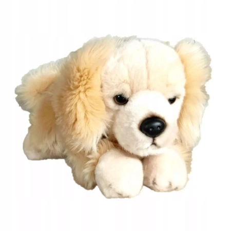 Maskotka Pies Retriver Leżący Duży Pluszak 30cm Miękka Przytulanka Miś
