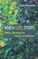 When Life Stops - Liebermeister Svagito