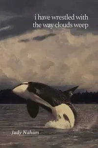 i have wrestled with the way clouds weep - Judy Nahum
