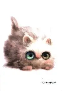 Zeszyt PP Fun A5 w kratkę 60 kartek 9 sztuk - Sztuka Rodzinna