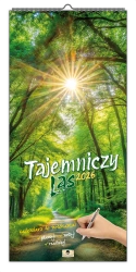 Kalendarz 2026 paskowy szeroki tajemniczy las - Pan Kalendarzyk