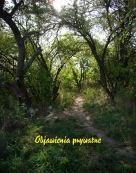 eBook Objawienia prywatne - Praca zbiorowa mobi epub