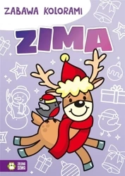 Zabawa kolorami. Zima - Barbara Supeł, Anetta Radziszewska
