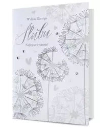 Karnet B6 Ślub HM200-2079 - Pan Dragon