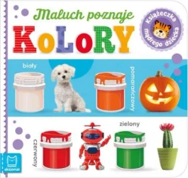 Maluch poznaje kolory. Książeczka mądrego dziecka - Sylwia Kajdana