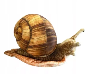 Ślimak 35cm - Dubi