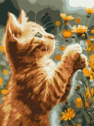 Malowanie po numerach - Rudy puszystek 30x40cm - Ideyka