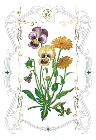 Karnet 12x18 B-BD 502 066 + koperta Bratki - DaVinci