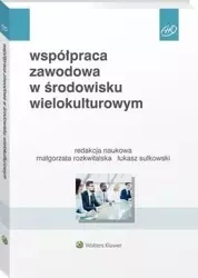 Współpraca zawodowa w środowisku wielokulturowym - Beata A. Basińska, Michał Chmielecki, Sylwia Pr