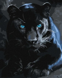 Malowanie po numerach - Dzika pantera 40x50cm - Ideyka