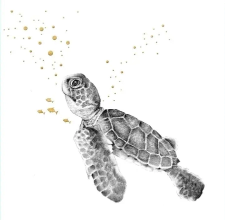 Karnet złocony kwadrat CL3823_BL Pływający żółw - Clear Creations