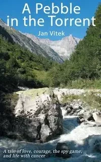 A Pebble in the Torrent - Jan Vitek