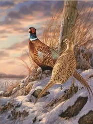 Diamentowa Mozaika Ptaki bażanty zimą NO-2001374 - Norimpex