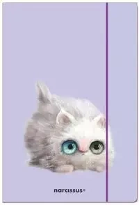 Teczka A4 FUN Kotek zamykana na gumkę 10 sztuk - Narcissus